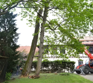 DSC 4943 e1462089085271 360x320