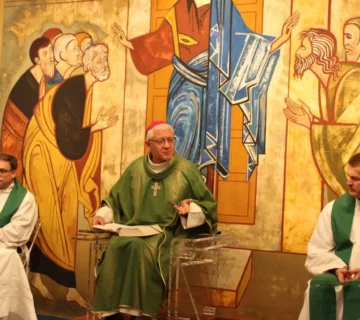 IMG 1706 1024x683 1 360x320