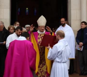 IMG 1835 1024x683 1 360x320